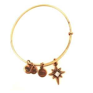 ALEX AND ANI BANGLE BRACELET